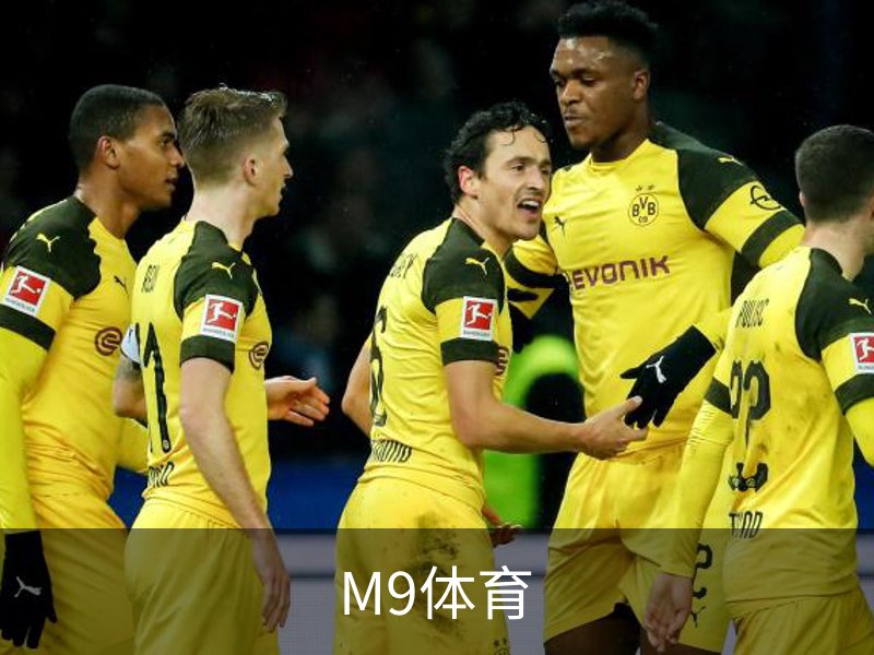 M9体育介绍